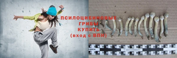 тгк Алексеевка