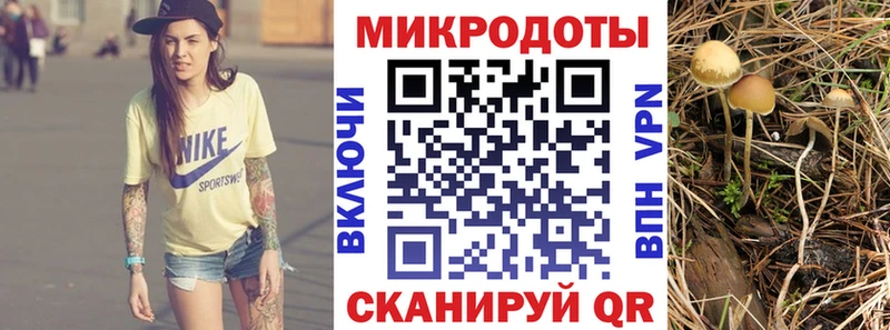 Псилоцибиновые грибы Psilocybe  закладка  Чехов 